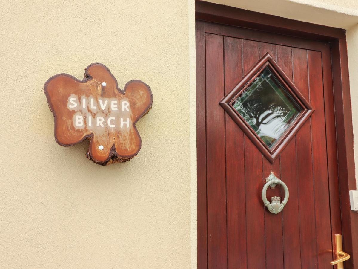 Silver Birch Cuar an Chláir Kültér fotó